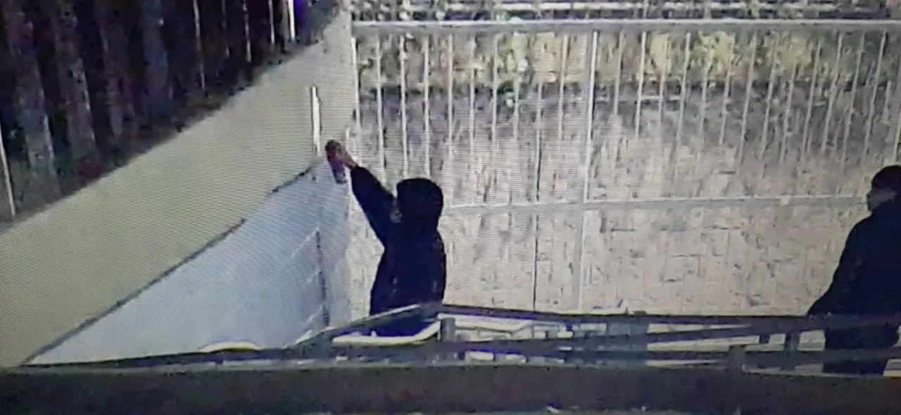 0fdecf83-889a-6109-e420-67ceb976a120