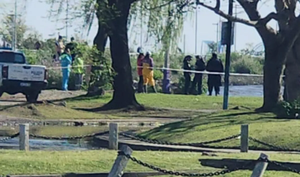 82p4qo57t903rk6s1mln